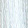 杏